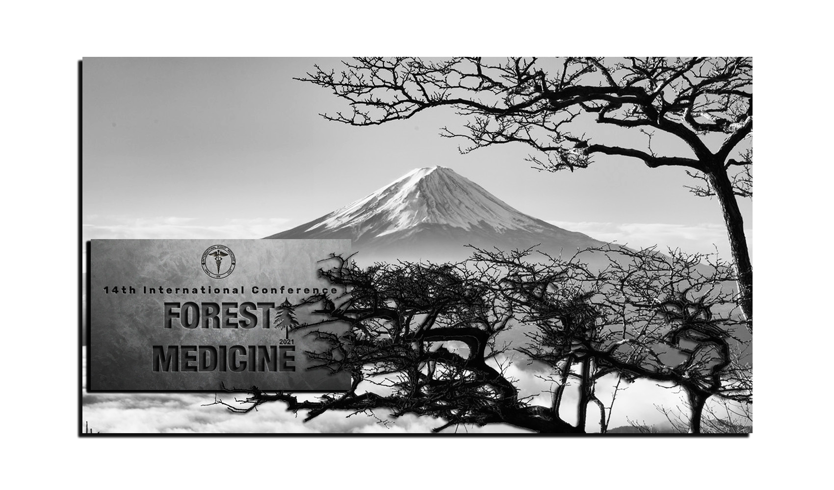 international-forest-medicine,japan,shinrin-yoku,baños-de-bosque,forest-medicine,forestbathing,foresttherapy,pioneroshinrin-yoku,historia-shinrin-yoku,naturetherapy,shinrinyoga,fuji,aseusy,samuraispain